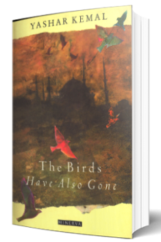 the bird with one wing jašar kemal